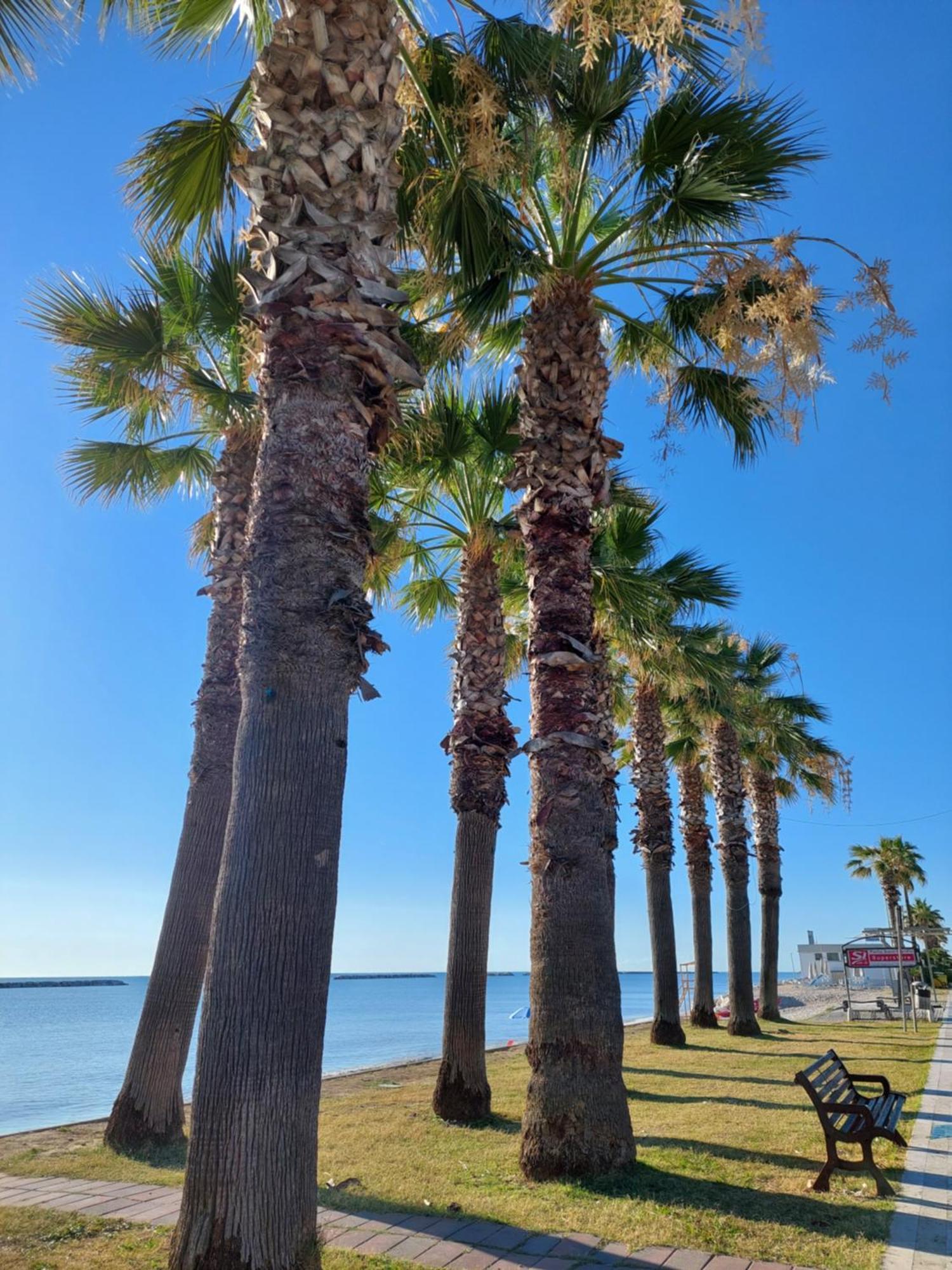 La Conchiglia Apartment Porto SantʼElpidio Екстериор снимка